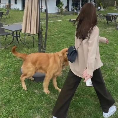 潮流教主粤语 封面